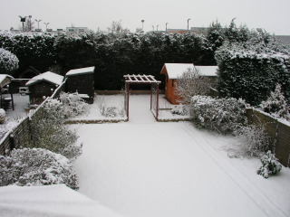 Snowy Garden