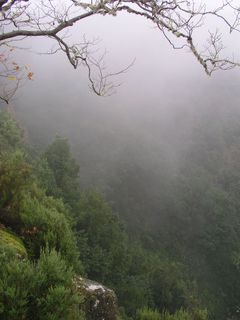 Clouds in Madeira's Mountains