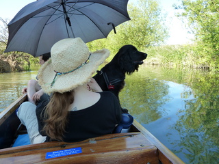 Vader enjoys Punting